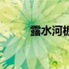 露水河板（关于露水河板的介绍）