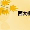 西大桥（关于西大桥的介绍）