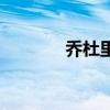 乔杜里（关于乔杜里的介绍）