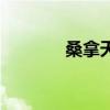 桑拿天（关于桑拿天的介绍）
