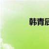 韩青辰（关于韩青辰的介绍）