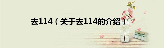 去114（关于去114的介绍）