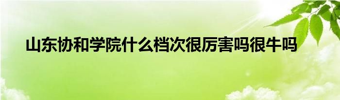 山东协和学院什么档次很厉害吗很牛吗