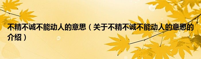 不精不诚不能动人的意思（关于不精不诚不能动人的意思的介绍）