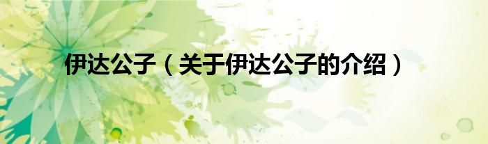 伊达公子（关于伊达公子的介绍）