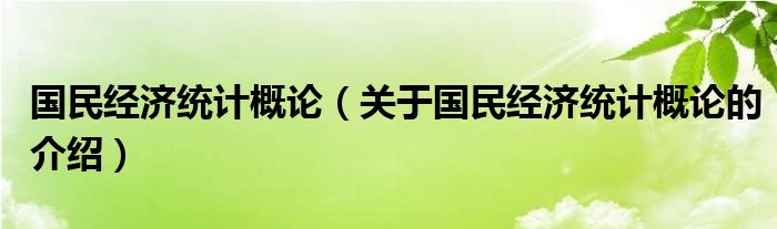 国民经济统计概论（关于国民经济统计概论的介绍）