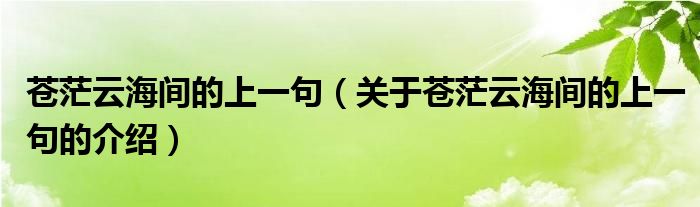 苍茫云海间的上一句（关于苍茫云海间的上一句的介绍）