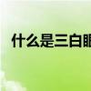什么是三白眼（关于什么是三白眼的介绍）
