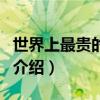 世界上最贵的豪车（关于世界上最贵的豪车的介绍）