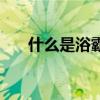 什么是浴霸（关于什么是浴霸的介绍）