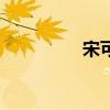 宋可（关于宋可的介绍）