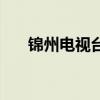 锦州电视台（关于锦州电视台的介绍）