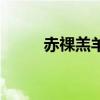 赤祼羔羊（关于赤祼羔羊的介绍）