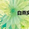 白燕窝（关于白燕窝的介绍）