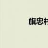 旗忠村（关于旗忠村的介绍）
