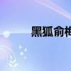 黑狐俞梅（关于黑狐俞梅的介绍）