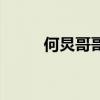 何炅哥哥（关于何炅哥哥的介绍）