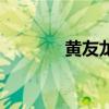 黄友龙（关于黄友龙的介绍）