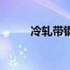 冷轧带钢（关于冷轧带钢的介绍）