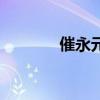 催永元（关于催永元的介绍）