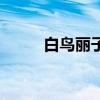 白鸟丽子（关于白鸟丽子的介绍）