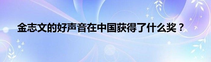 金志文的好声音在中国获得了什么奖？