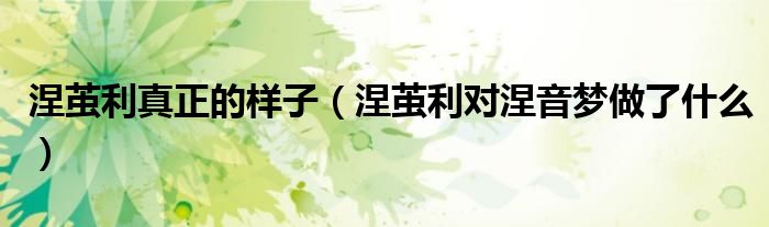 涅茧利真正的样子（涅茧利对涅音梦做了什么）
