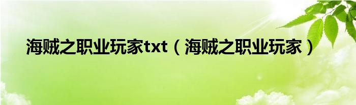 海贼之职业玩家txt（海贼之职业玩家）