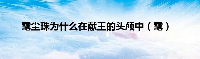 雮尘珠为什么在献王的头颅中（雮）