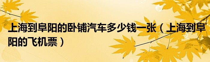 上海到阜阳的卧铺汽车多少钱一张（上海到阜阳的飞机票）