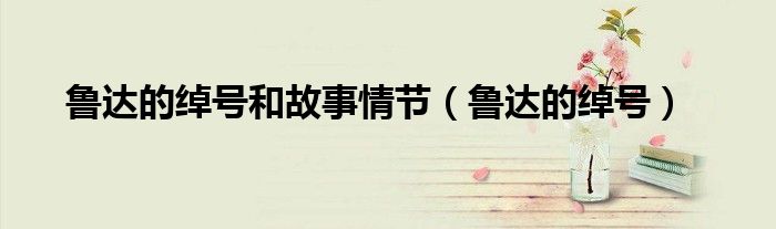 鲁达的绰号和故事情节（鲁达的绰号）