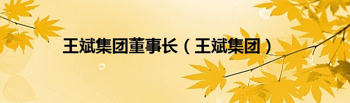 王斌集团董事长（王斌集团）