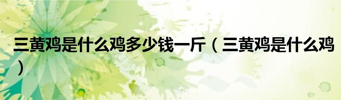 三黄鸡是什么鸡多少钱一斤（三黄鸡是什么鸡）