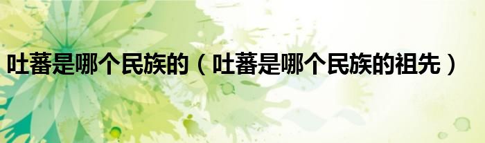 吐蕃是哪个民族的（吐蕃是哪个民族的祖先）