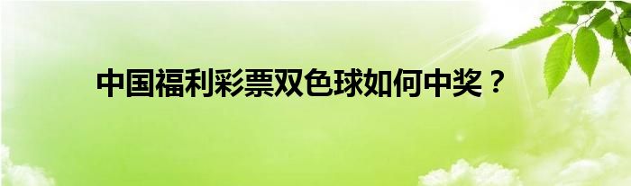 中国福利彩票双色球如何中奖？