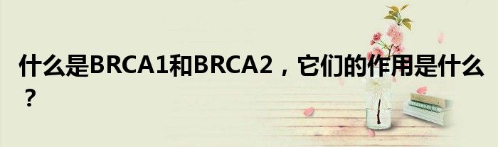 什么是BRCA1和BRCA2，它们的作用是什么？