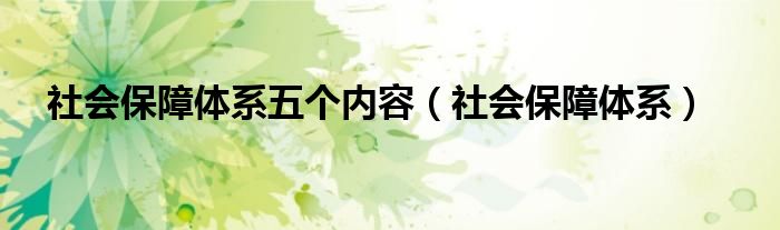 社会保障体系五个内容（社会保障体系）