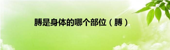 膊是身体的哪个部位（膊）