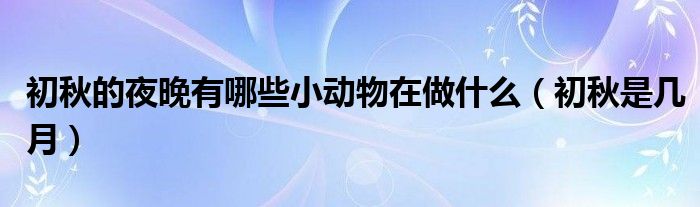 初秋的夜晚有哪些小动物在做什么（初秋是几月）