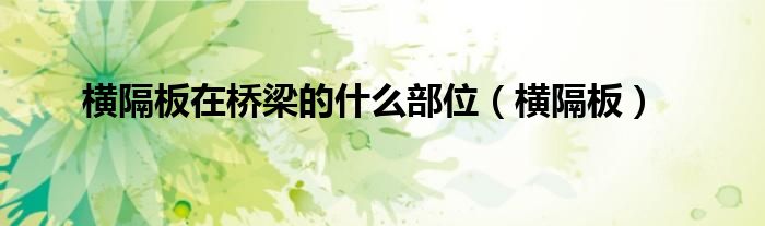 横隔板在桥梁的什么部位（横隔板）