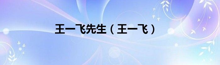 王一飞先生（王一飞）