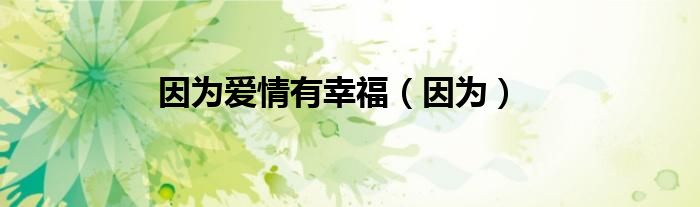 因为爱情有幸福（因为）
