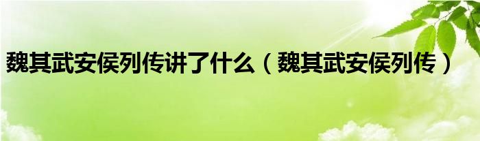 魏其武安侯列传讲了什么（魏其武安侯列传）