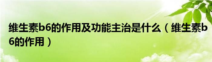 维生素b6的作用及功能主治是什么（维生素b6的作用）