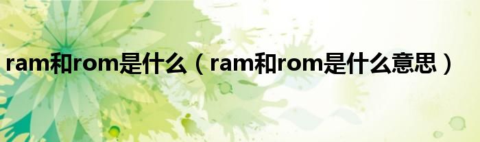 ram和rom是什么（ram和rom是什么意思）