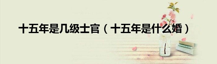 十五年是几级士官（十五年是什么婚）