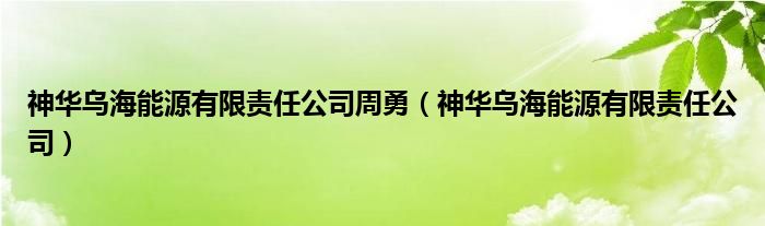 神华乌海能源有限责任公司周勇（神华乌海能源有限责任公司）
