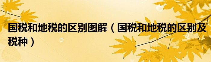 国税和地税的区别图解（国税和地税的区别及税种）