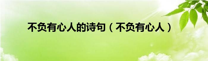 不负有心人的诗句（不负有心人）