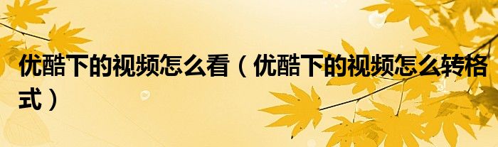 优酷下的视频怎么看（优酷下的视频怎么转格式）